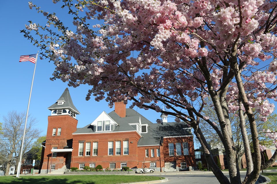 Thornton Academy
